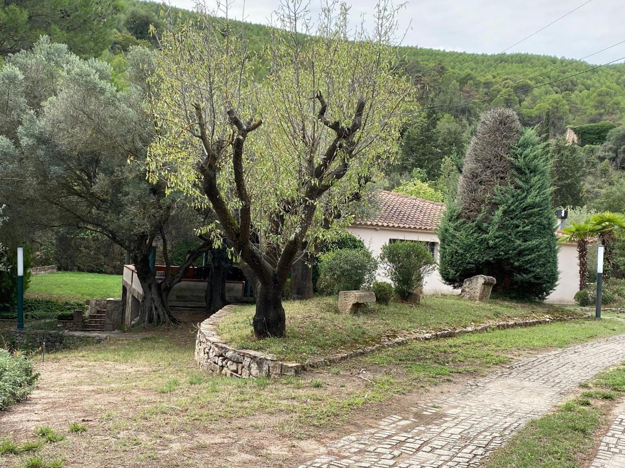 Villa La Vinya De Mas Pujol Suria Exterior foto